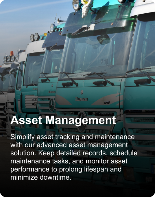 Asset Management